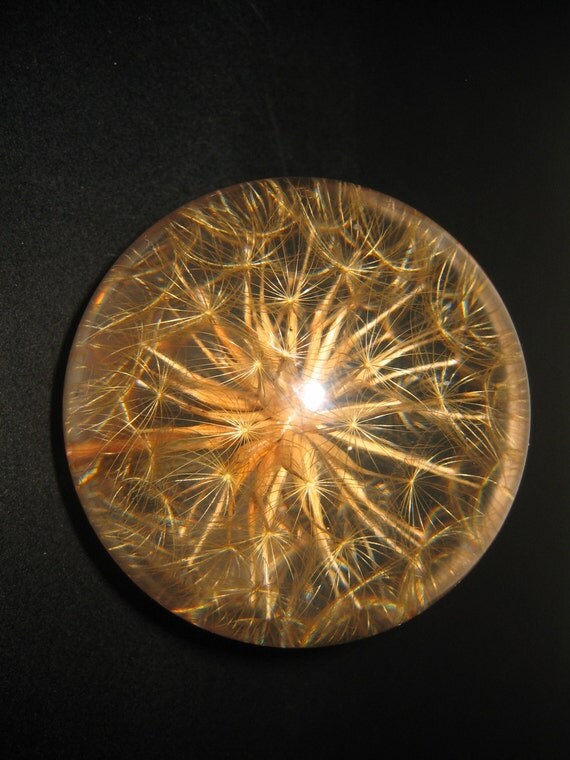 Vintage Hafod Grange Paperweight 1992 Dandelion Puff Botanical