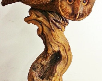 Barn Owl Wood Carving "Spying"