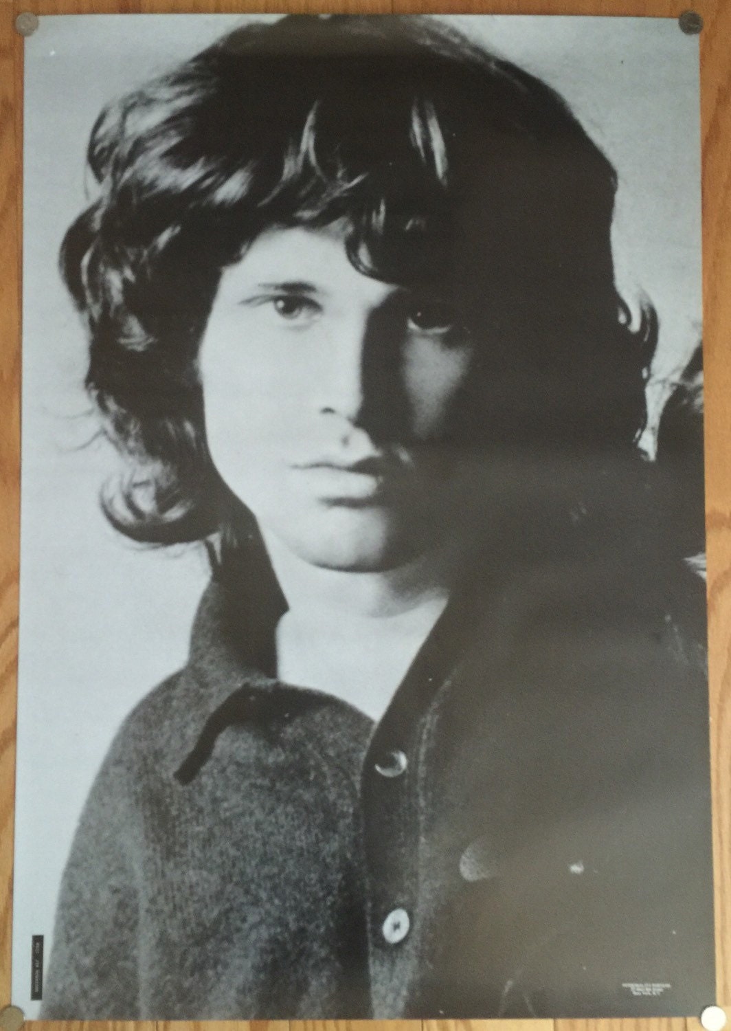 Jim Morrison The Doors Wall Art Poster Posters 27 X 39