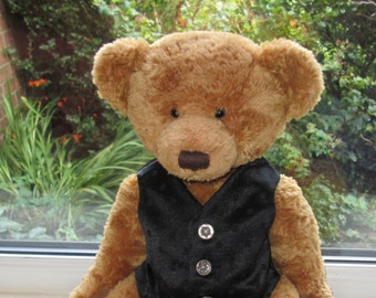 teddy bear with vest