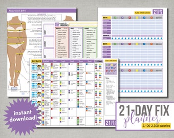 21 day fix planner | Etsy