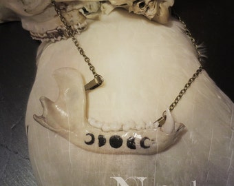 Witchy Raccoon Jaw Necklace, Bone Jewelry, Bone Necklace, Moon Phases, Oddities, Oddities Necklace, Witchy Necklace, Vulture Culture