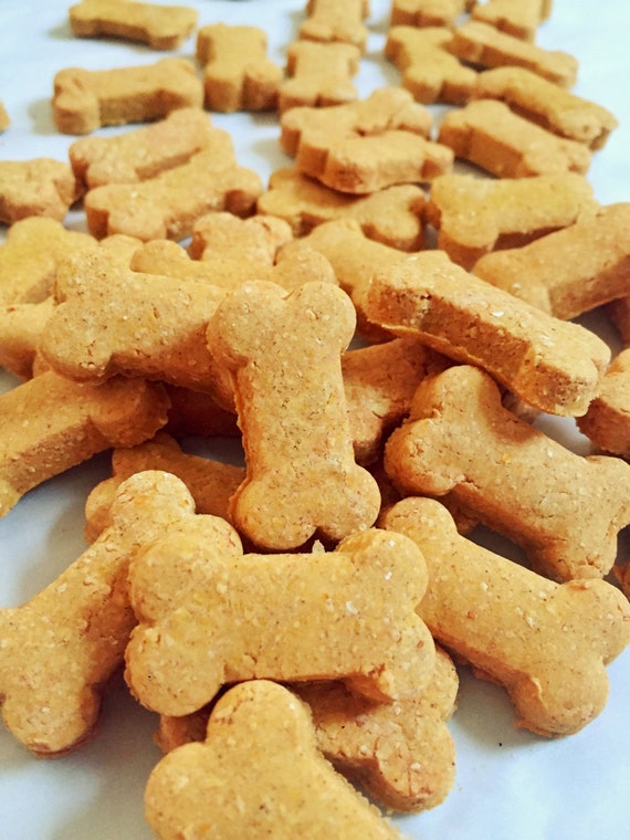 Pumpkin Grain Free Organic Dog Treats Grain by PawbabyBiscuits