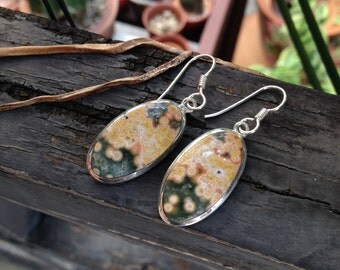 Ocean Jasper sterling silver earrings