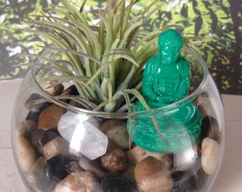 Buddha terrarium | Etsy