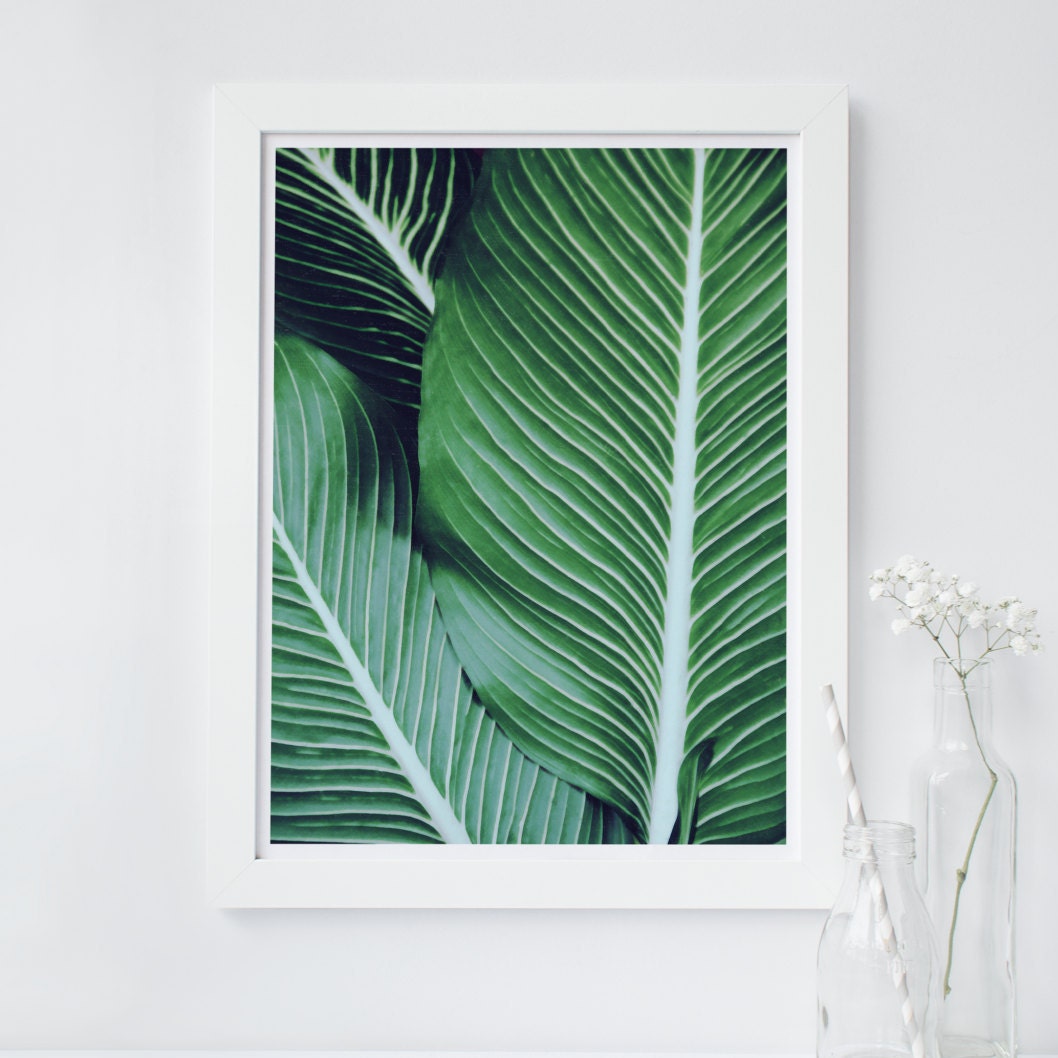 Tropical leaf print printable wall art palm leaf print