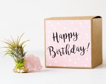 Best Friend Birthday Gift, Unique Birthday Gift, Gold Dipped Rose Quartz Crystal, Mom Birthday, Sister Birthday, Girlfriend Birthday Gift