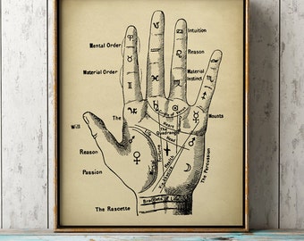 Palmistry Hand Diagram Wall Art Poster Antique Hiromancy