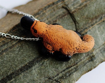 Duckbill Platypus Duckbill Platypus