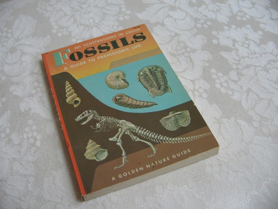 Fossils A Guide To Prehistoric Life Vintage Book 1962 First