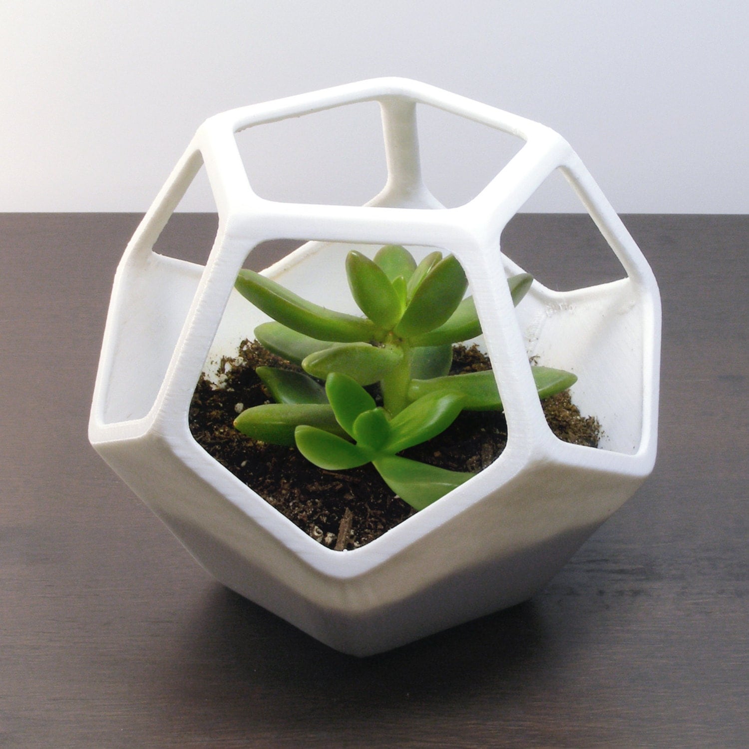 Dodecahedron Planter 3D  Terrarium 3D  Printed  Home by MeshCloud