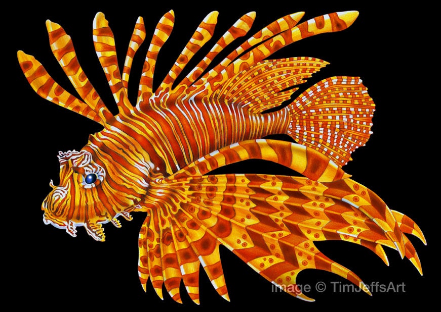 Lionfish 2 Colored Pencil Drawing