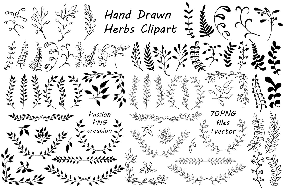 Big Set Of Hand Drawn Herbs Clipart Leaves Clip Art Herbs Silhouette ...