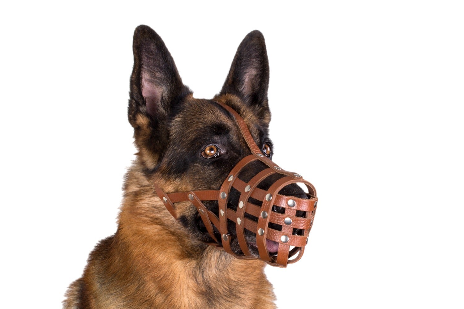 Dog Muzzle German Shepherd Leather Secure Basket