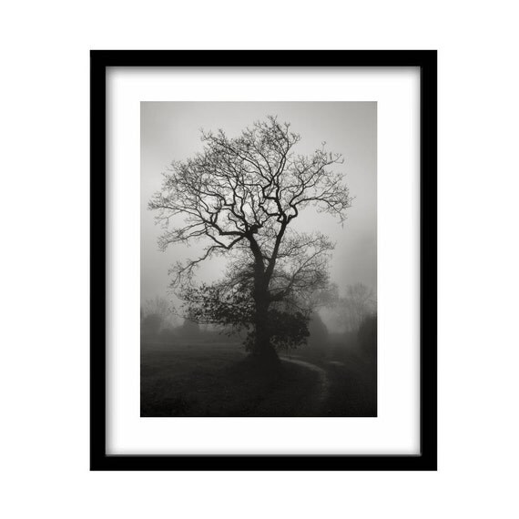 black and white tree print wall pictures for sale tree