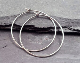 Sleek Titanium Hoops. Hammered Titanium Earrings for Sensitive Ears. Hypoallergenic Pure Titanium. Choose Size & Gauge. Burnished Smooth.