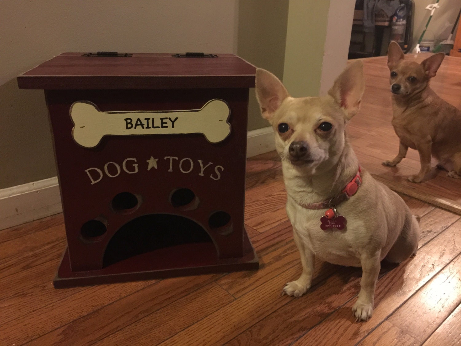 white dog toy box