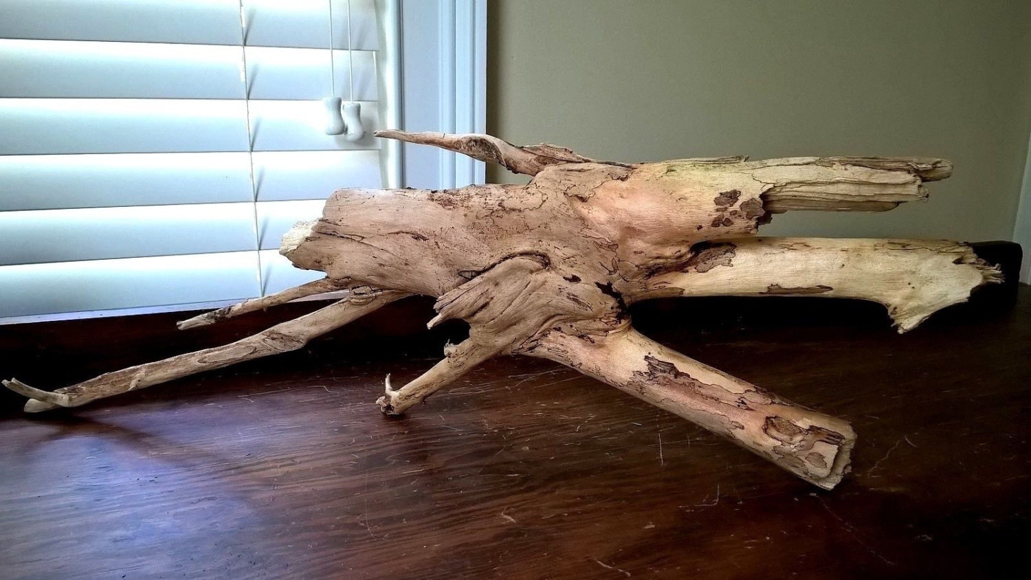 Large Aquarium Driftwood Fish Tank Drift Wood Reptile Art
