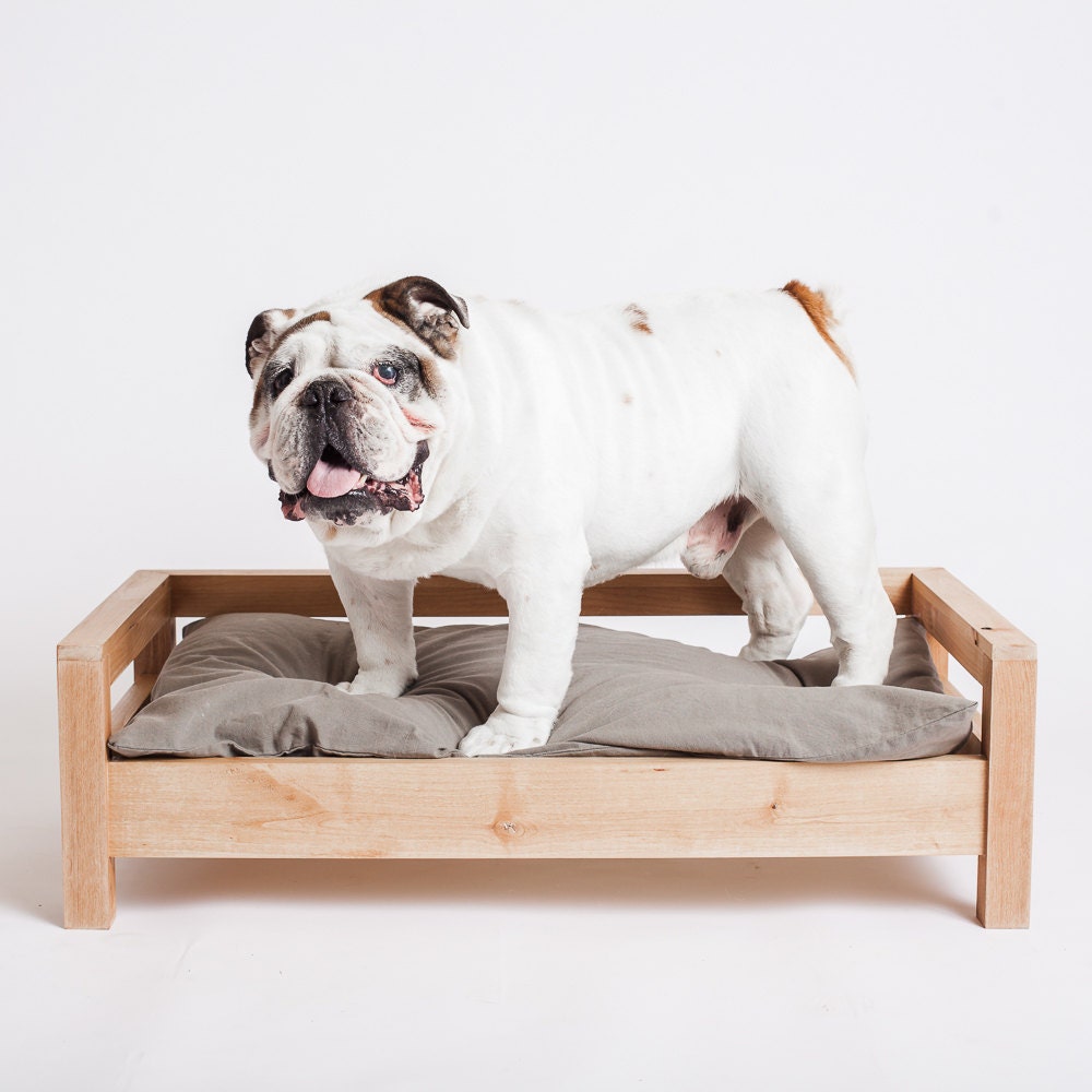 Medium Dog Bed Modern Dog Bed Dog Furniture Elevated Dog