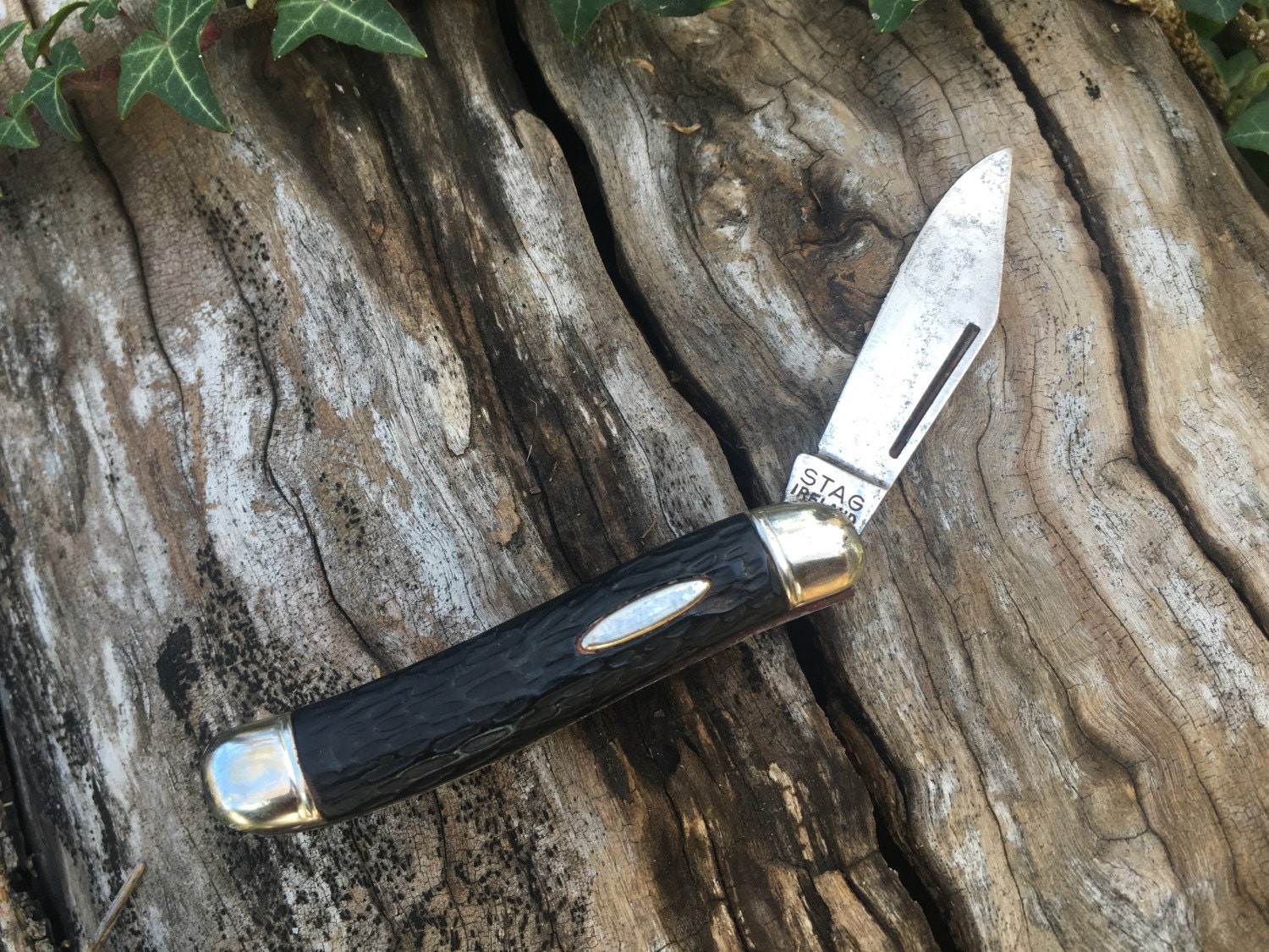 Vintage Pocket Knife Stag Made in Ireland Single Blade