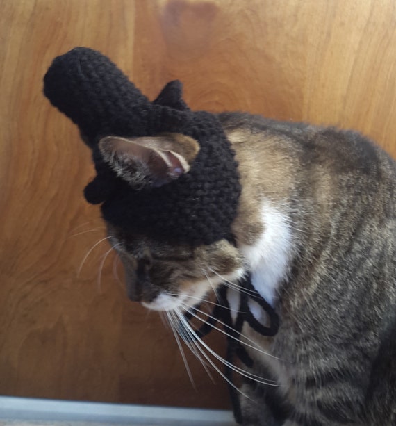 Cat Top Hat knit hat for cat by StitchedAdventures on Etsy