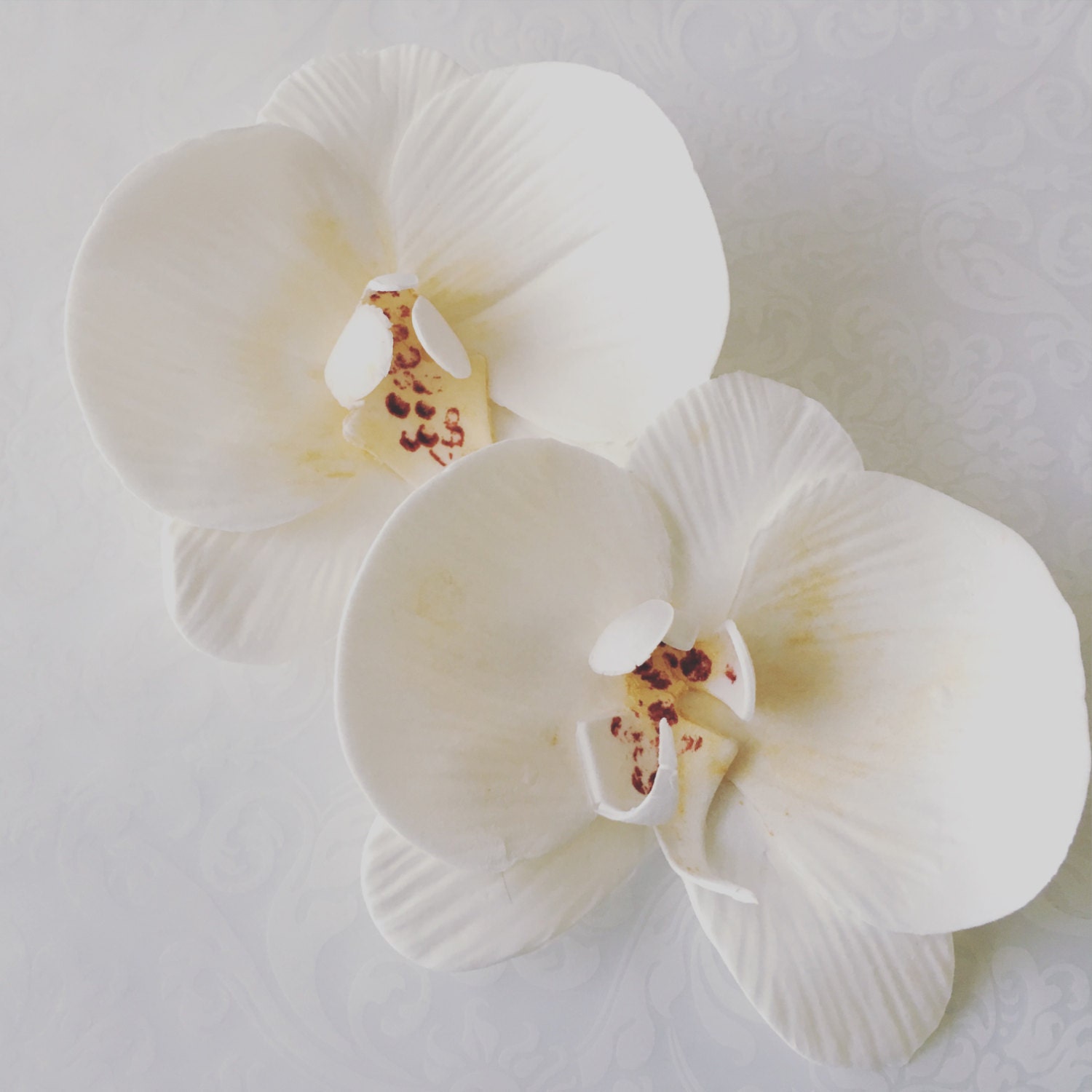 6 Fondant Orchids 6 Gumpaste Orchids Edible Orchid Edible