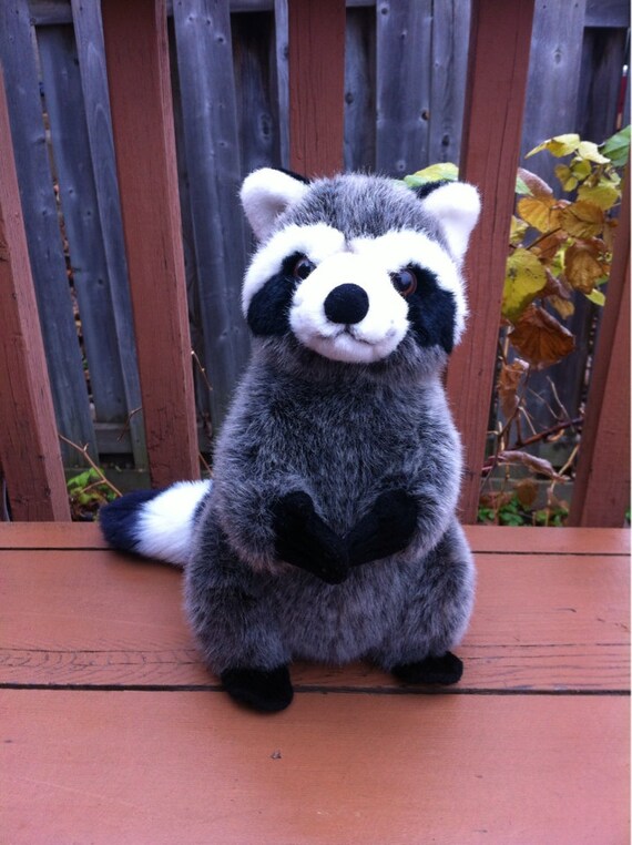 plush toy raccoon