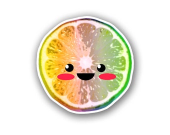 Kawaii Fruit Slice Sticker