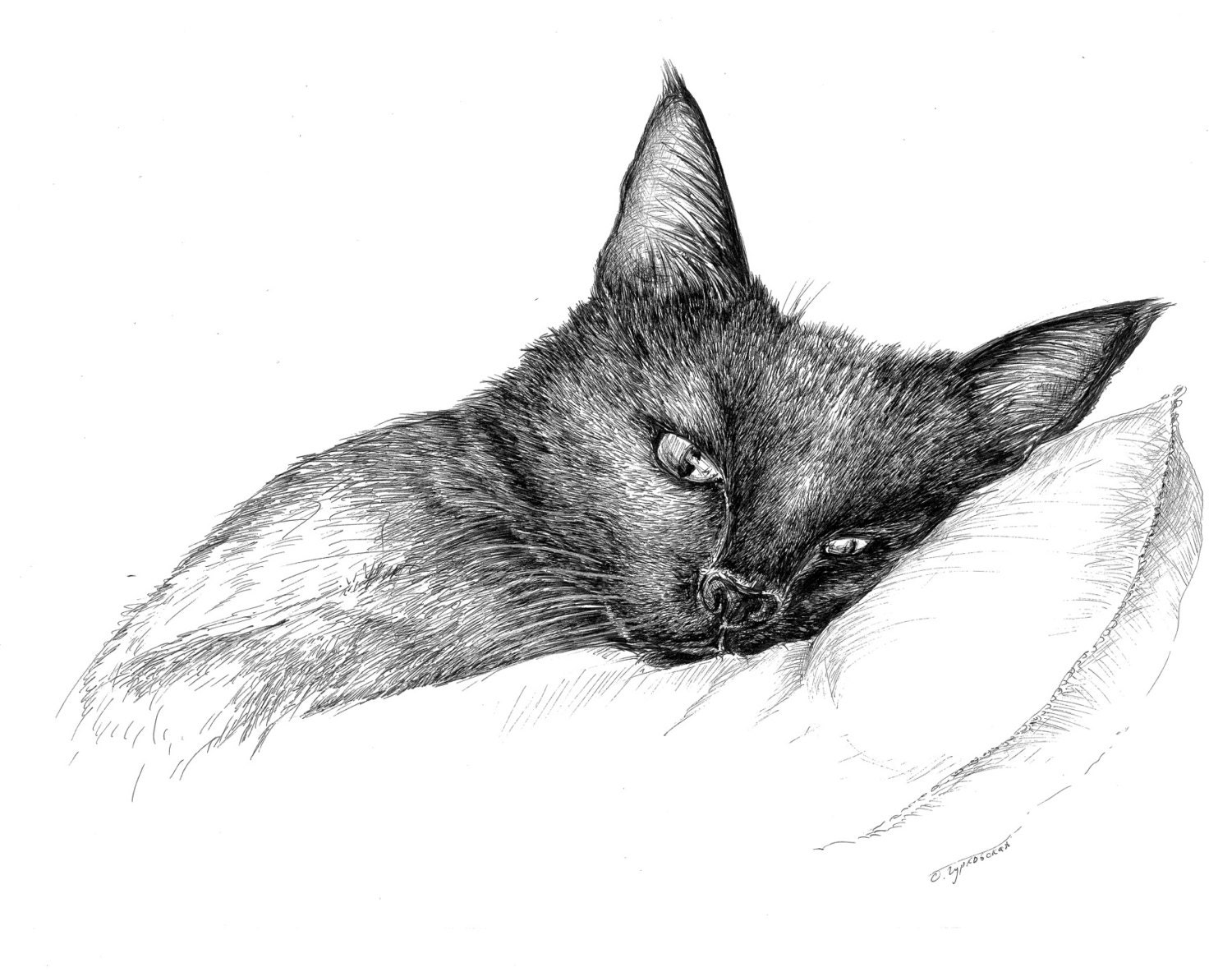 Black cat drawing pen and ink sketch original by KrazyKatLady2015