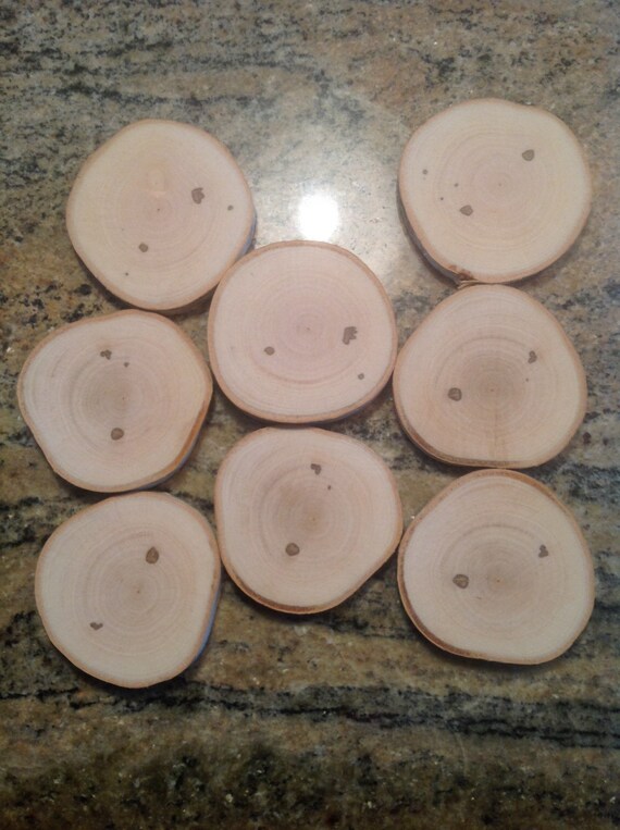 White Birch Wood Discs for crafting wedding decor rustic