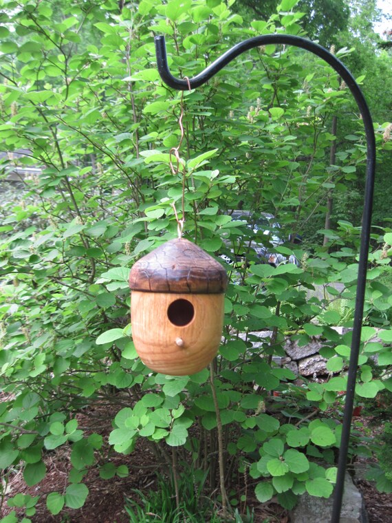 Acorn shaped hand turned wooden decorative bird house