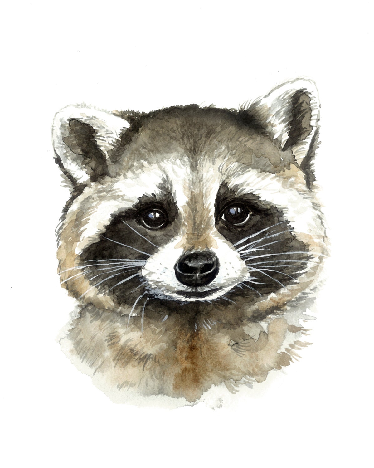 Raccoon Watercolor Print