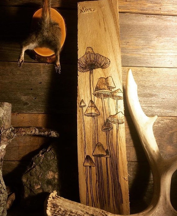 Mushrooms Wood Burn