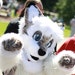 Plushdoggy