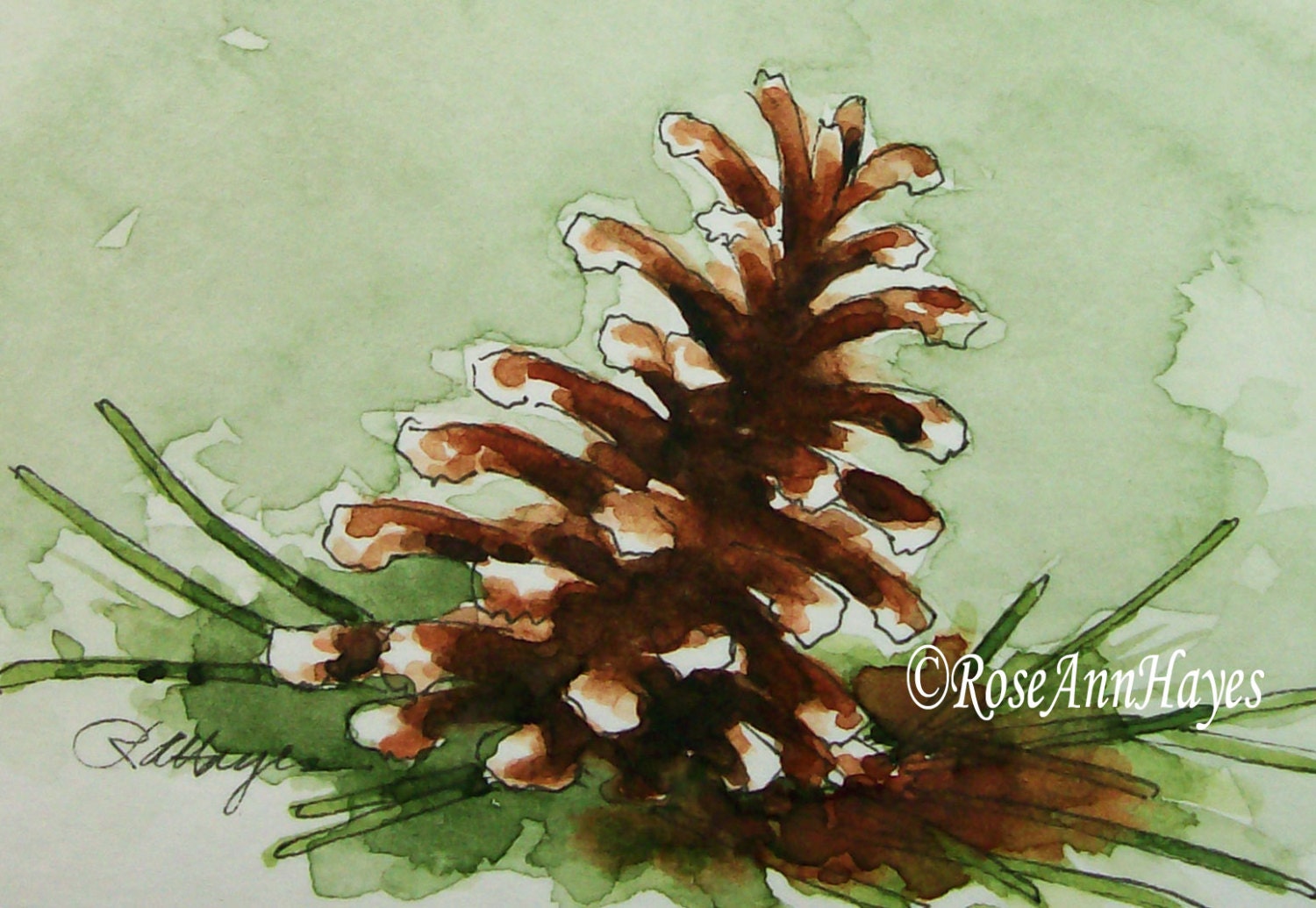 Pine Cone Watercolor Painting Print Still Life ACEO