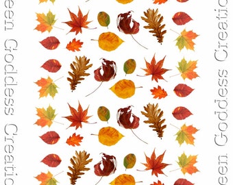 Various Autumn Water Slide Nail Decals - Transparent