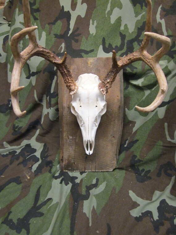 Rustic Barn Wood European Mounting Board/Plaque