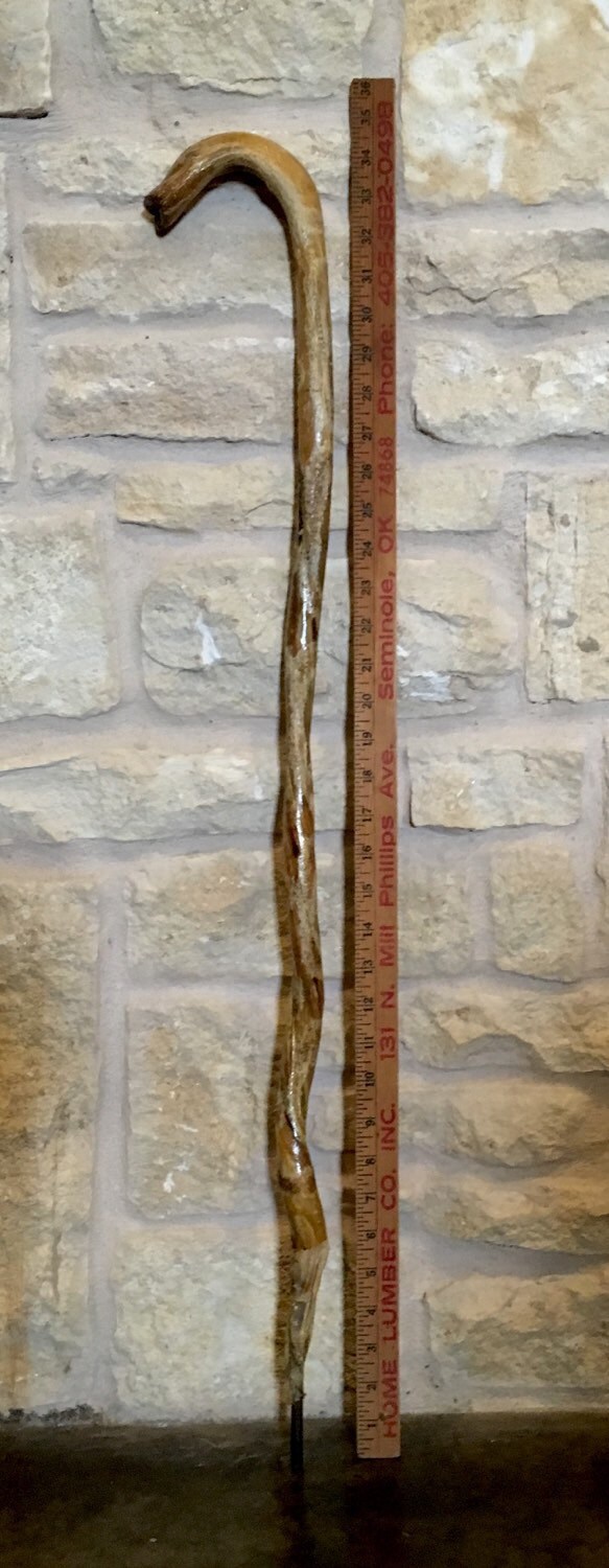 Vintage Bull Penis Cane Walking Stick / Authentic / Unusual