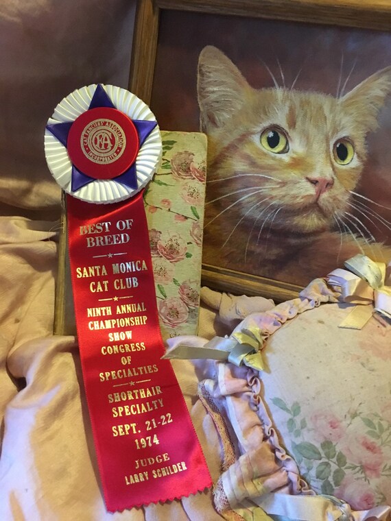 Vintage CFA CAT Show Satin Ribbon Rosette Award Best of Breed