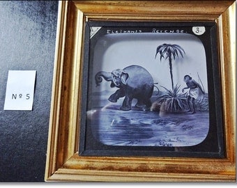 Magic Lantern Slide, Victorian Glass Slides, Victorian Toys, Elephants Revenge, Lantern Slides No. 5