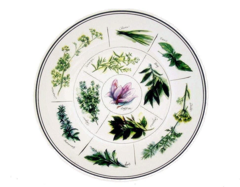 Williams Sonoma Herb Pasta Salad Serving Bowl Large 13 In