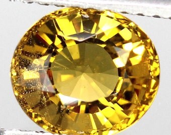 topaz clarity free tumblr