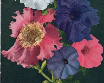 Vintage 2 ea, Milot-Mills Co. Wenatchee Washington Plant Catalogs 1940 & 41 Roses, Trees, Flowers, Lawns, Vegetables, Cut Flowers MORE
