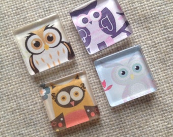 Owl Office Decor Owl Office Decor