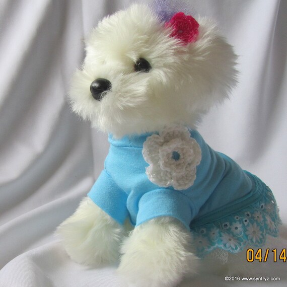 XSSmall Dog Shirt Light Blue with lace ruffle and by Syntryz