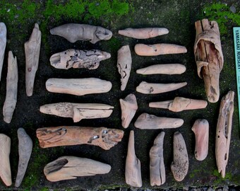 27 Natural Driftwood Pieces + 3 Bonus Pieces - Carving - Craft Supplies - Garden Decor - Home Decor - Taxidermy DW58