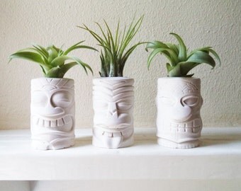 Tiki totem mini air plant holders, Island style, Tahitian, Hawaiian decor, Polynesian