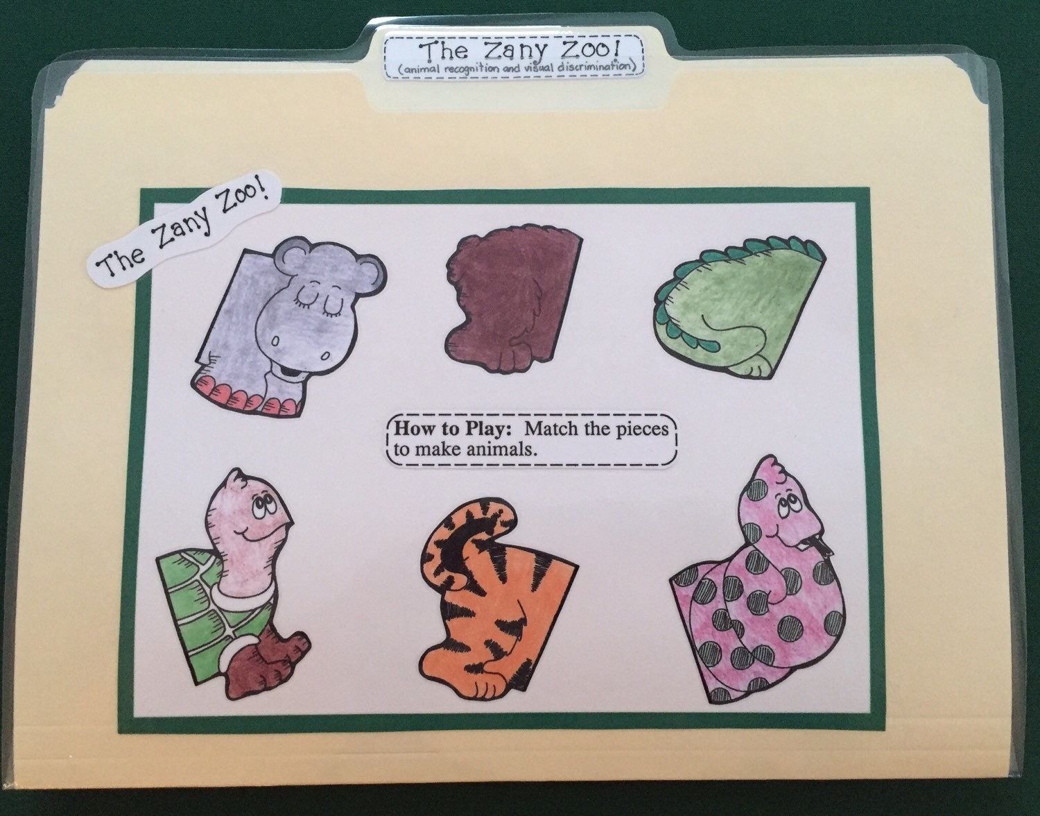 THE ZANY ZOO Visual Discrimination File Folder Game