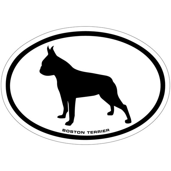 Boston Terrier Dog With Sunglasses In The Forest Sticker – Boston Terrier World - Foto 8