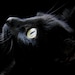vengefulkitty9